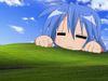 Reply Image
